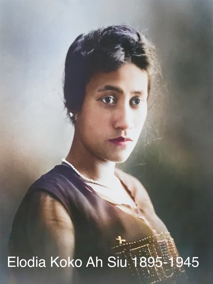 Elodia koko